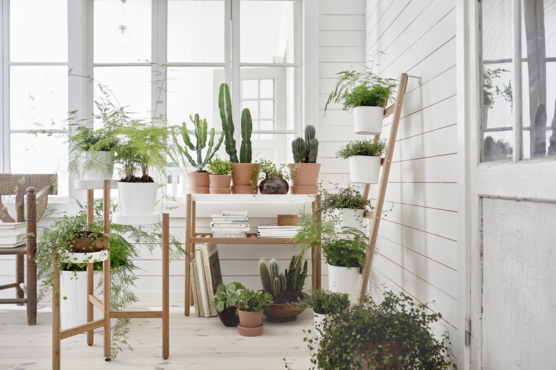 A handy guide to getting your garden ready for spring