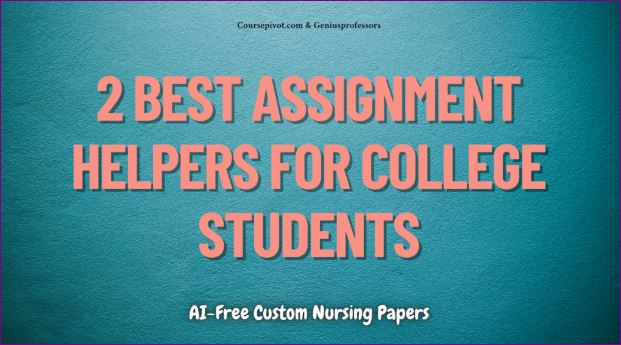 image 2 cheap assignment writing websites 2026-27 review 