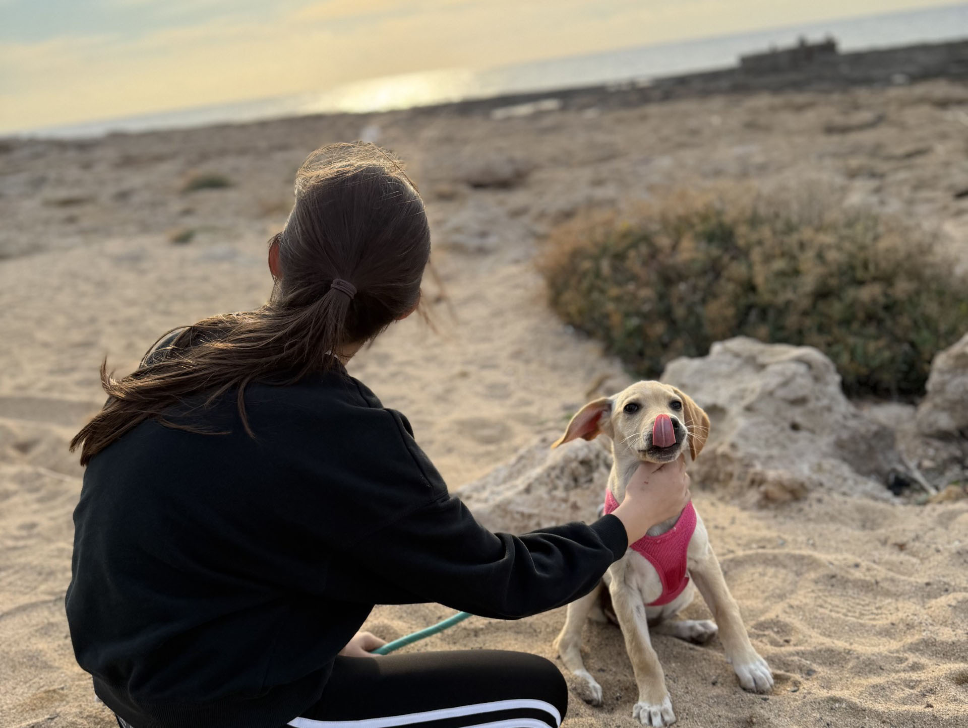 cover From yoga to a puppy’s forever home