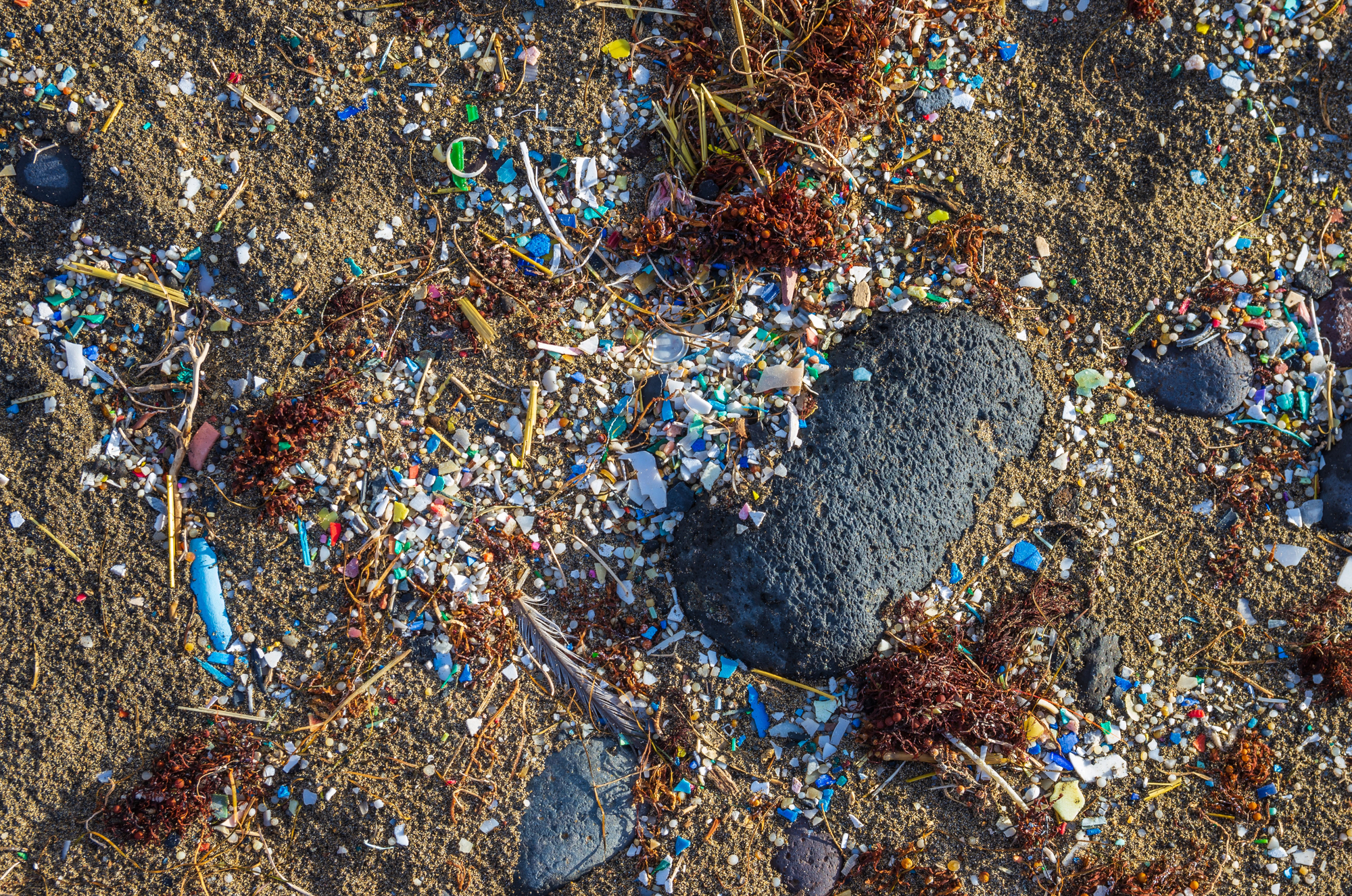 cover Our beaches are turning into dangerously colourful mosaics of plastic