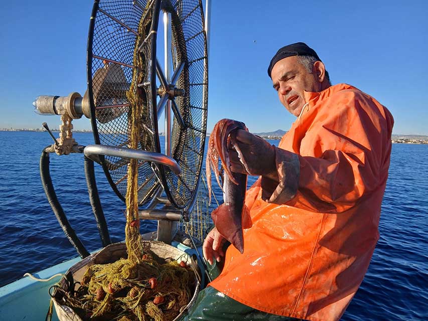 cover A push to protect Cyprus maritime life