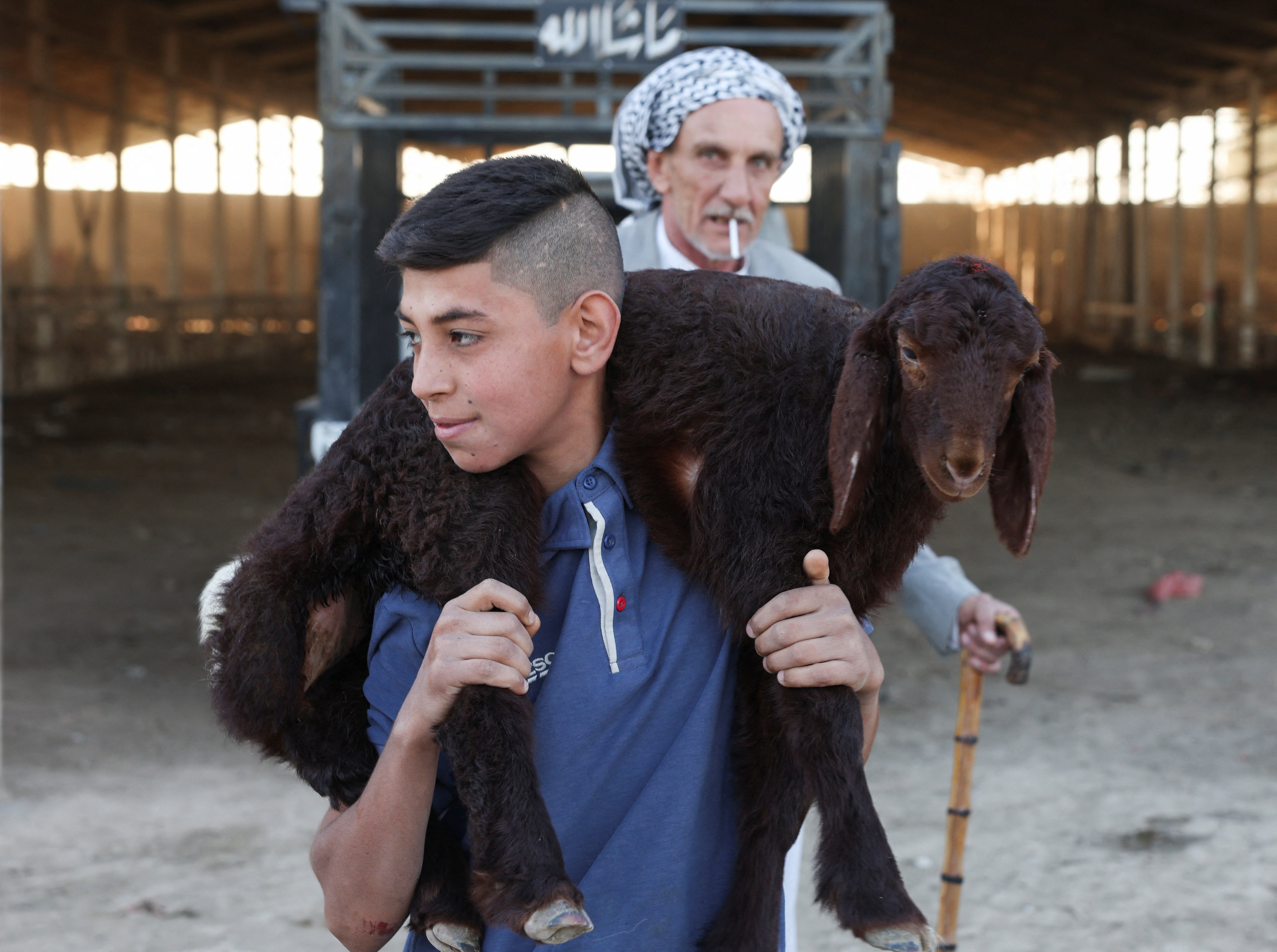 cover Sheep theft ruins Eid festivities for Palestinian shepherd