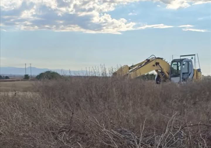 image FMD burial pits being dug near housing areas, residents claim
