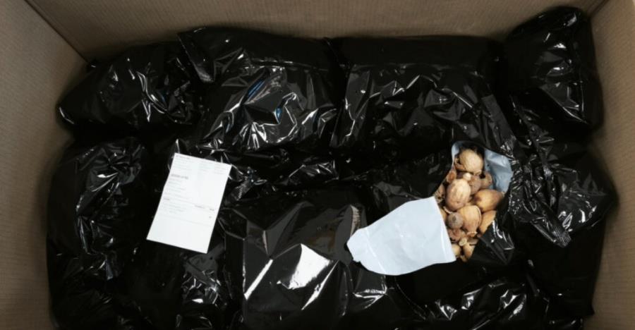 image Police probe TikTok opium ring after seizures exceed 20kg