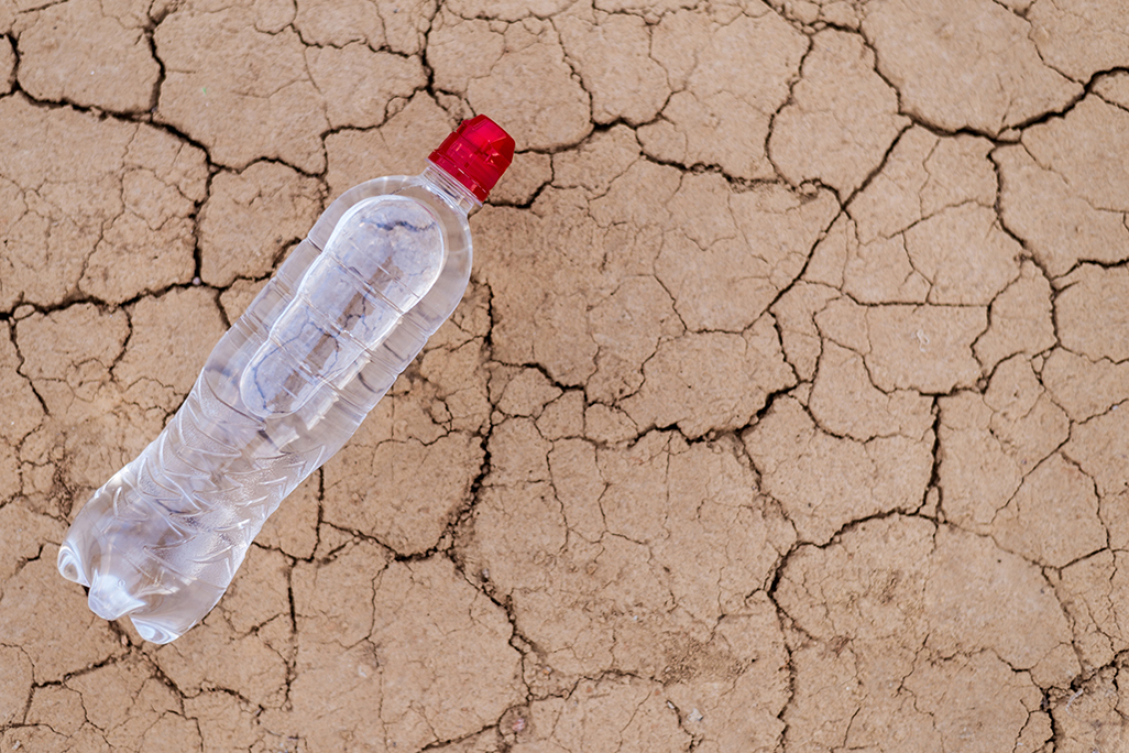 Dozens die of thirst in Sahara desert after truck 