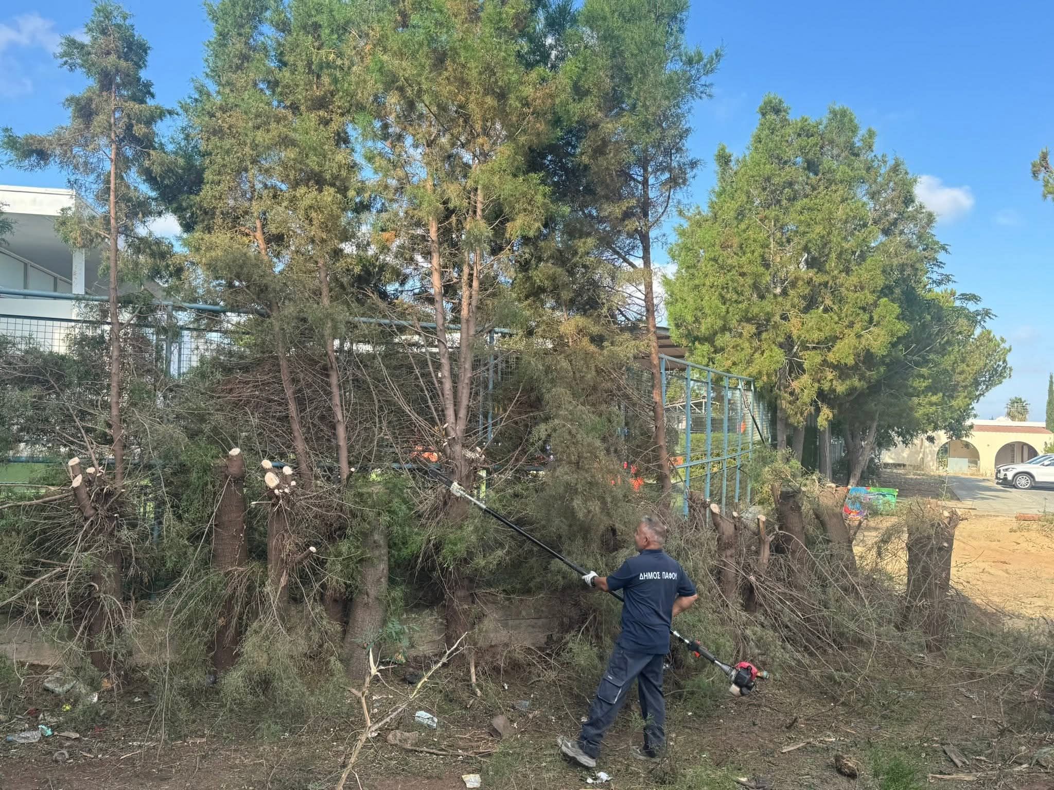 image Paphos cleans up area near kindergarten