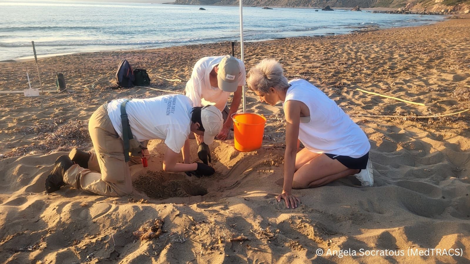 cover ‘Climate action key to protecting Cyprus’ sea turtles’