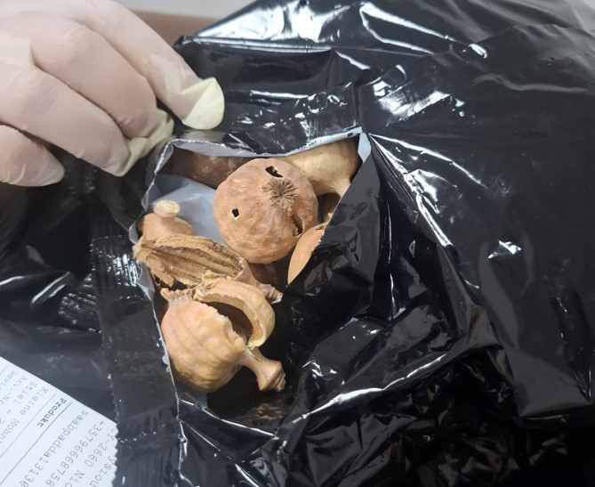 image Customs dept seizes opium poppies at Larnaca airport