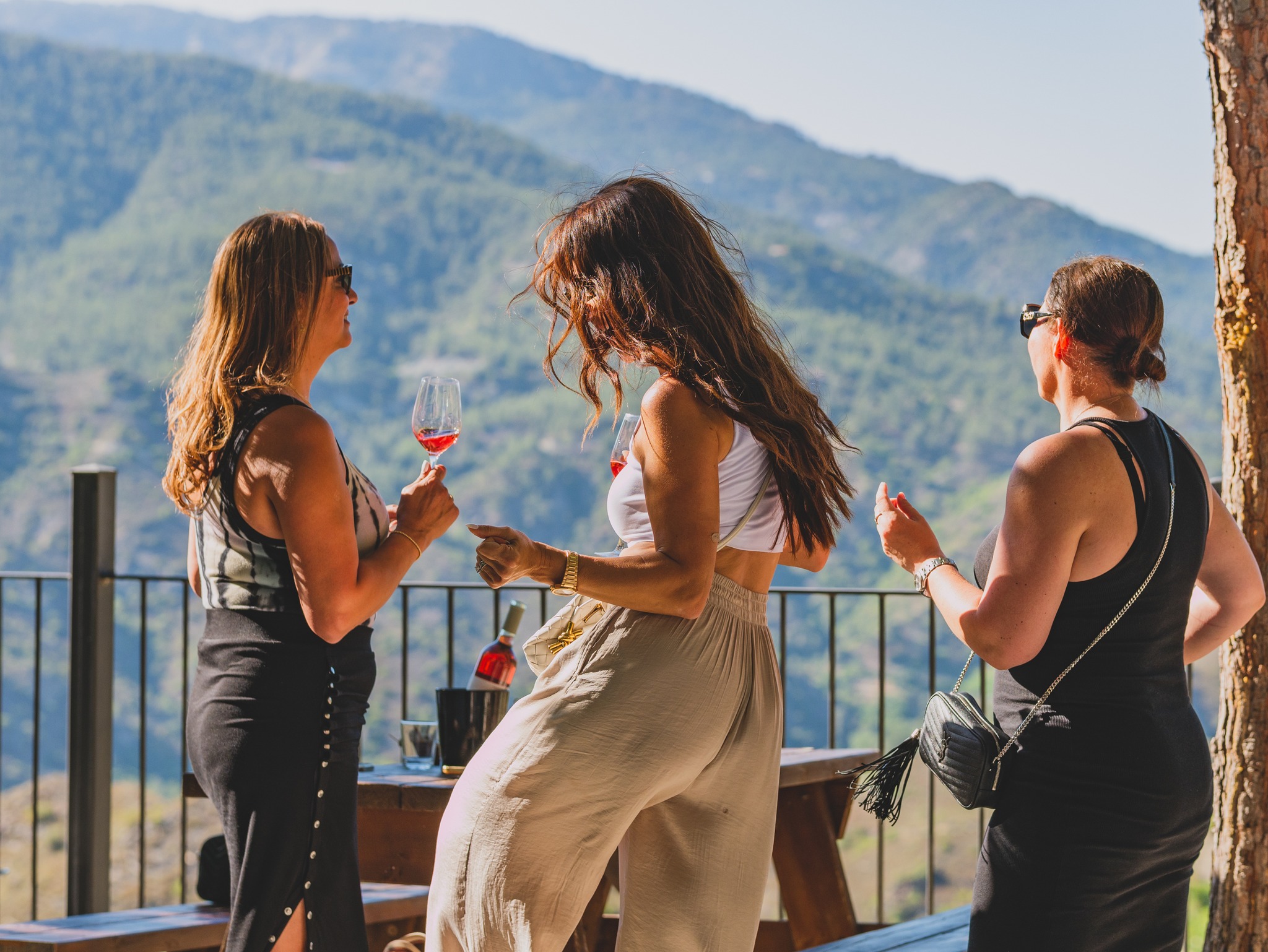 Oenogastronomic nights coming up at rural winery