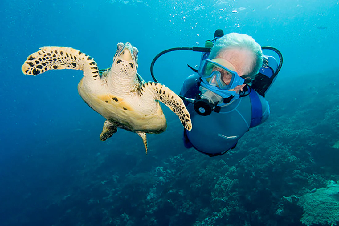 cover TV shows we love: The Undersea World of Jacques Cousteau