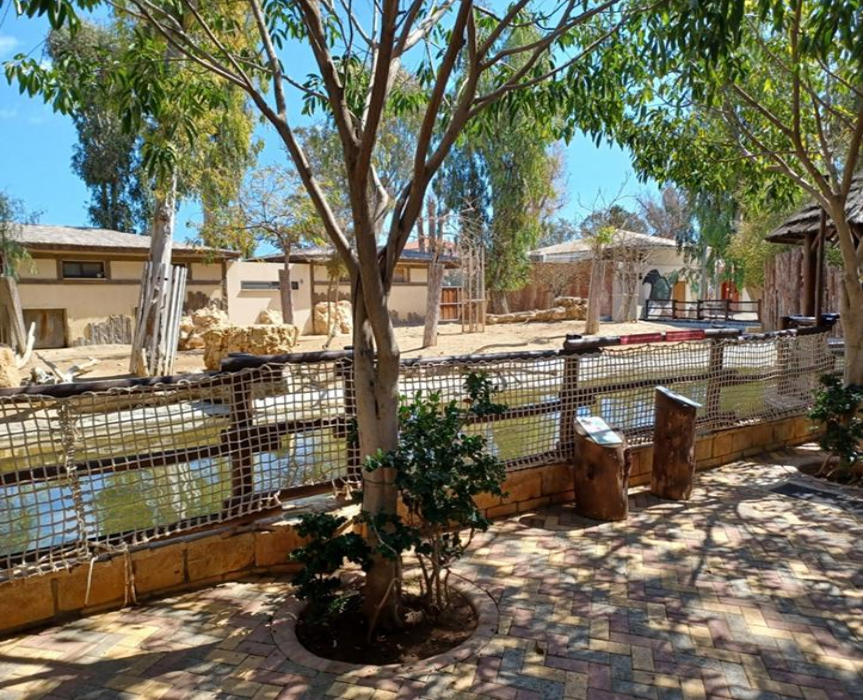 Limassol Zoo, zoo, animal, animals, Limassol