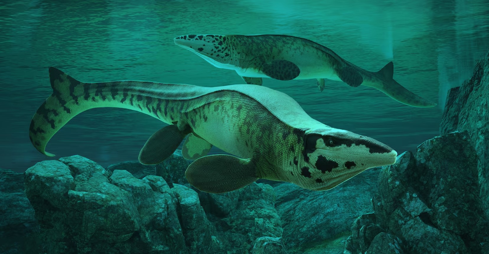 cover Fearsome dinosaur-era marine reptile was the T. rex of the sea