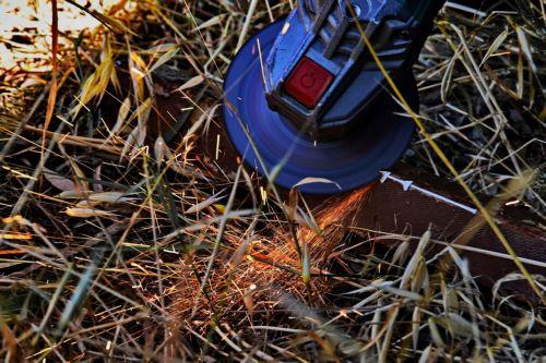 cover Forestry department warns of fines over summer fire risk
