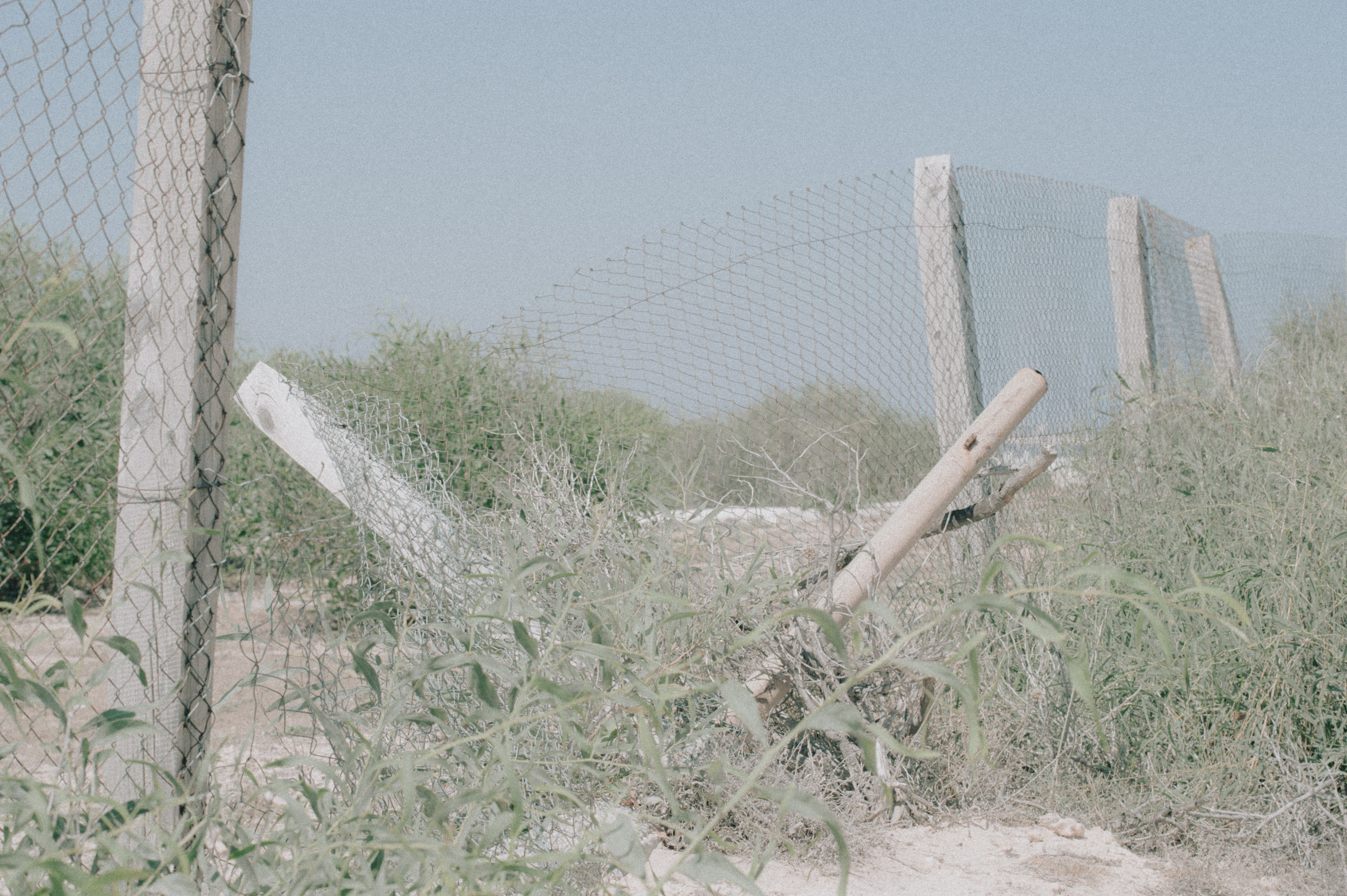 image When grief brings you home to Cyprus