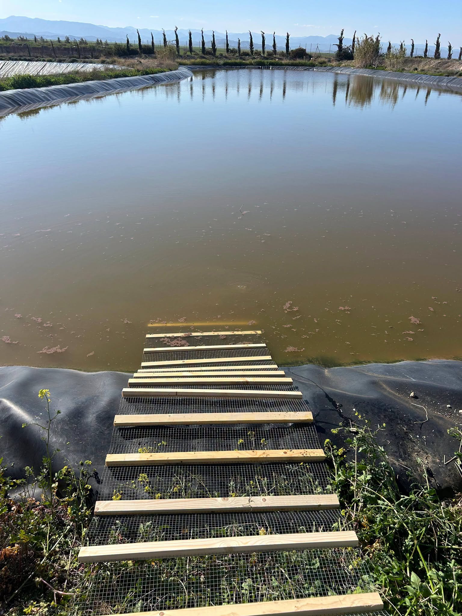 cover Safety ramps for animals to be installed in artificial lakes