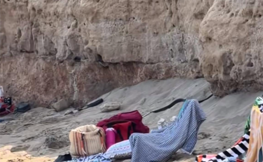 cover Snakes spotted at Protaras beach