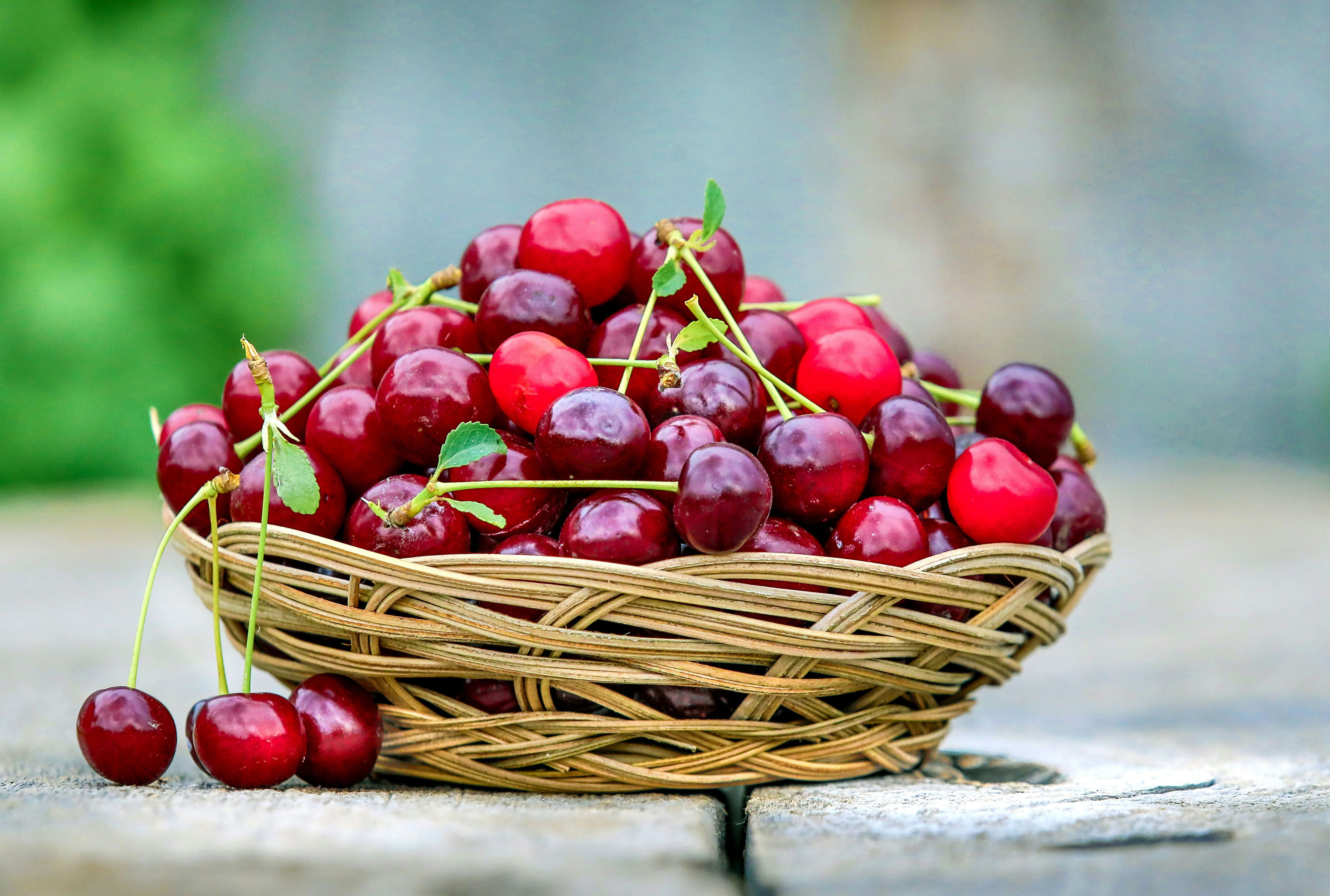 cover Two days of cherries and village fun at mountain festival