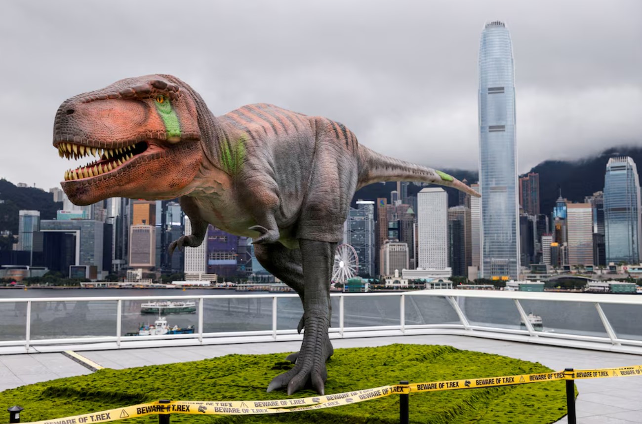Here’s how Tyrannosaurus ended up with a big head and small 