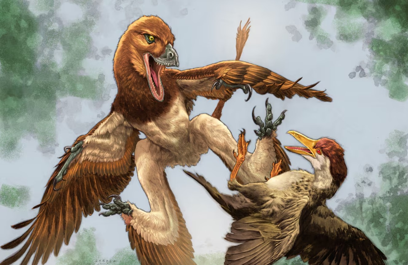 cover Chinese Velociraptor cousin had a taste for birds