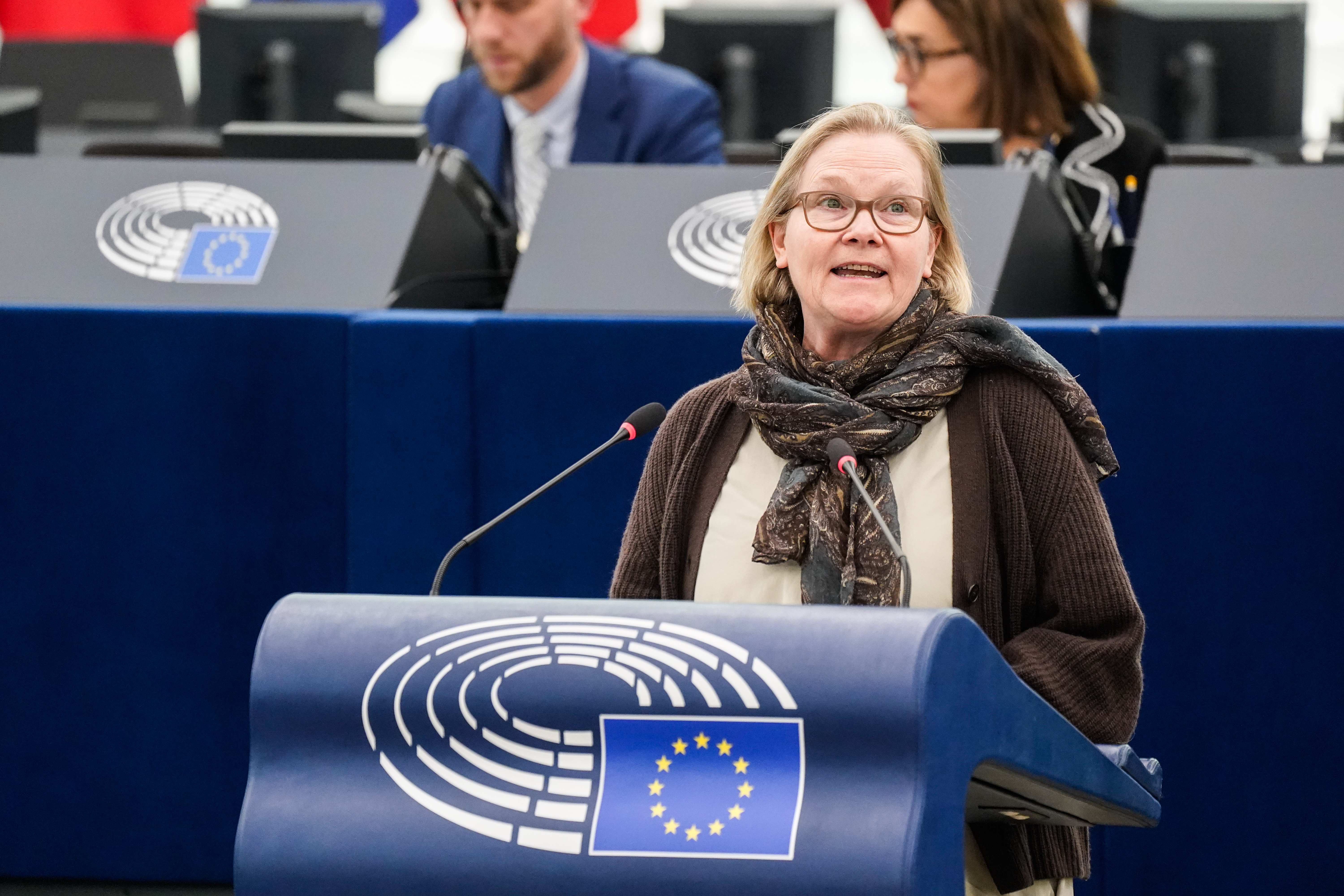 cover Resolution on 1974 Cyprus sexual violence ‘incomprehensible’, German MEP says