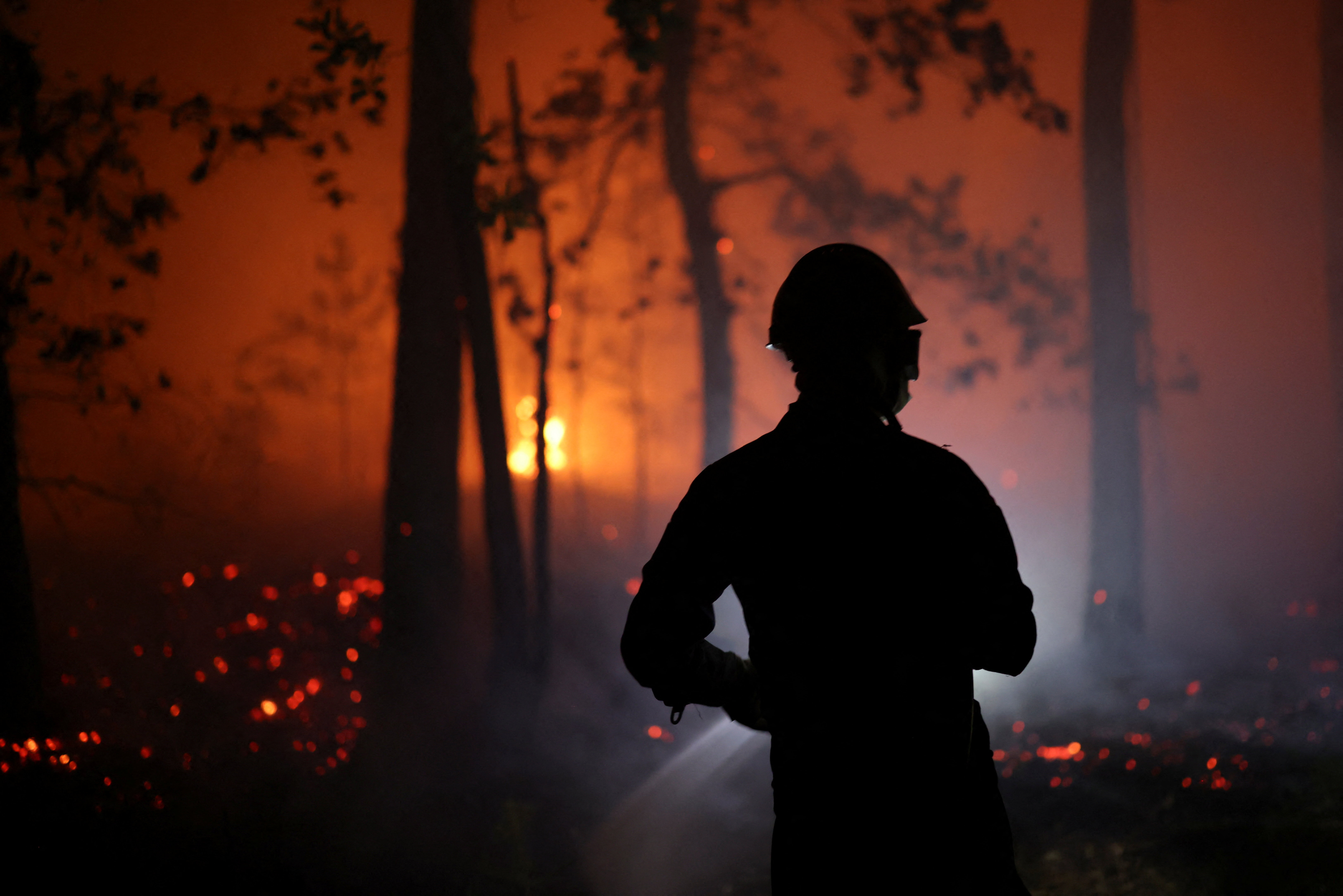 cover Firefighters battle Fontainebleau forest fire near Paris as two arrested, still not under control