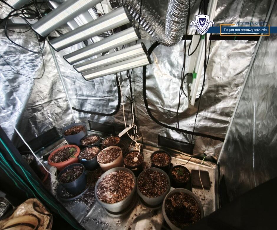 image Cannabis growing operation uncovered in Limassol