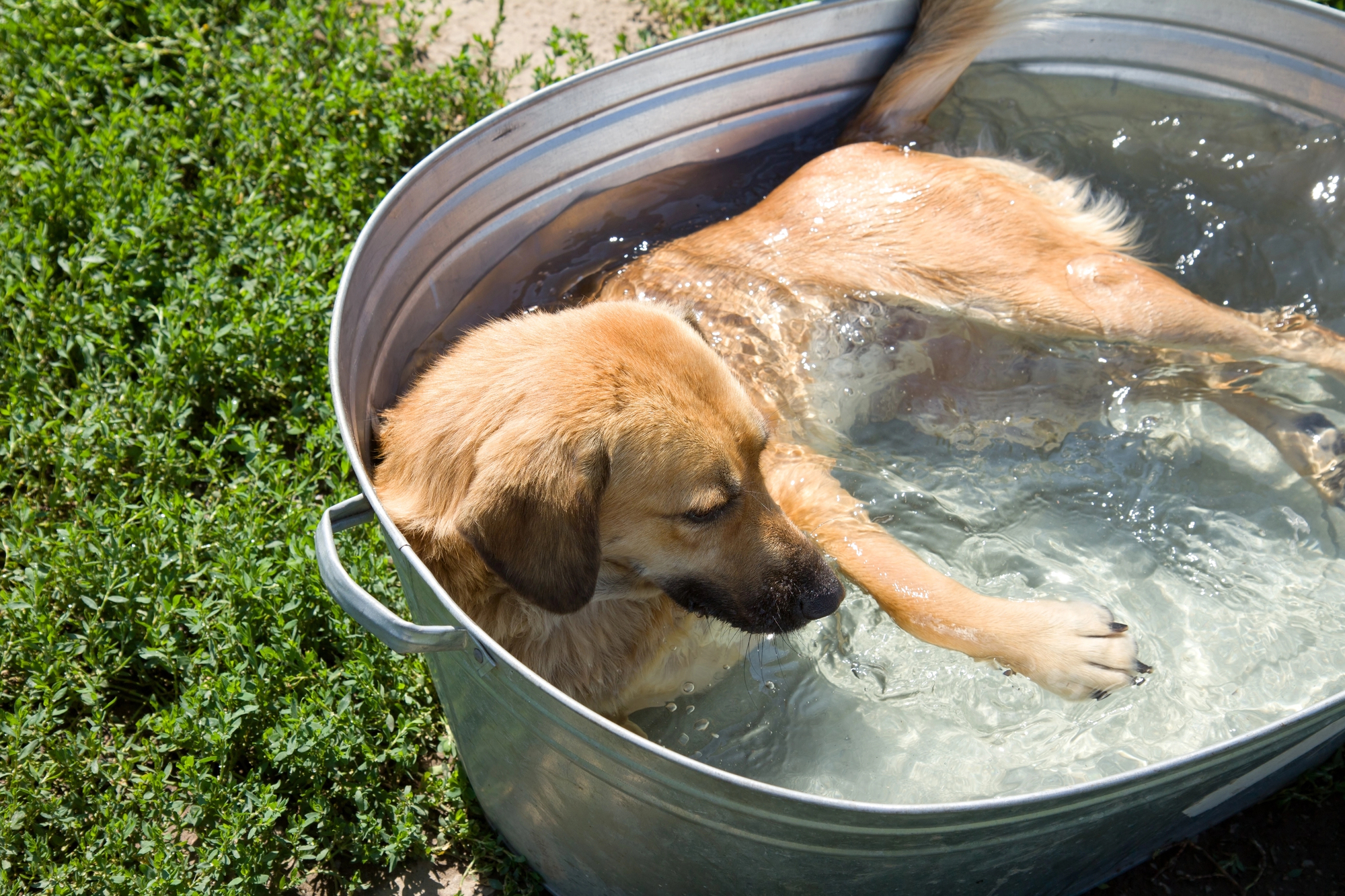 cover Cyprus braces for 40C heat as clear skies continue