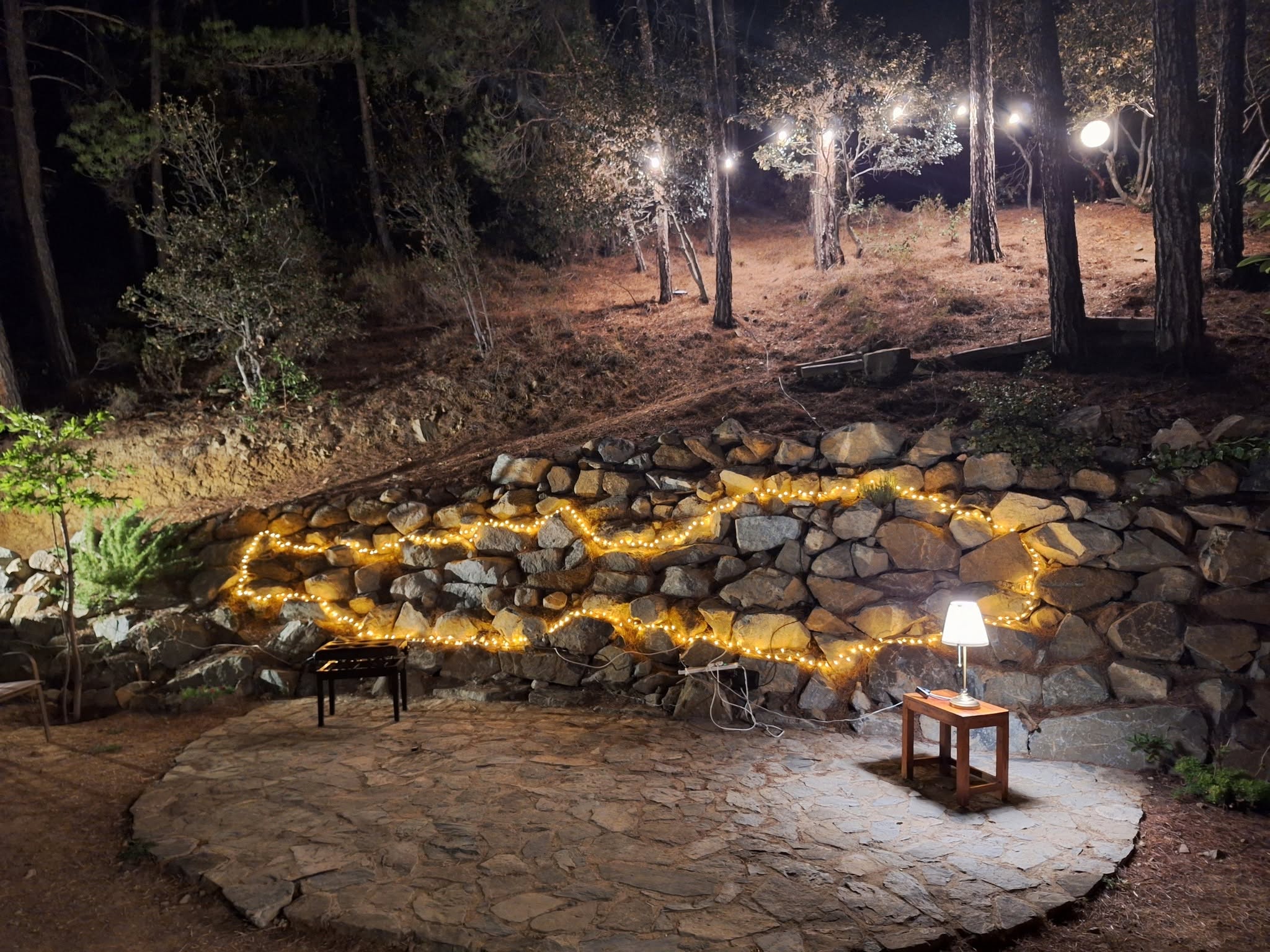 image Music in the forest: 12 unique performances