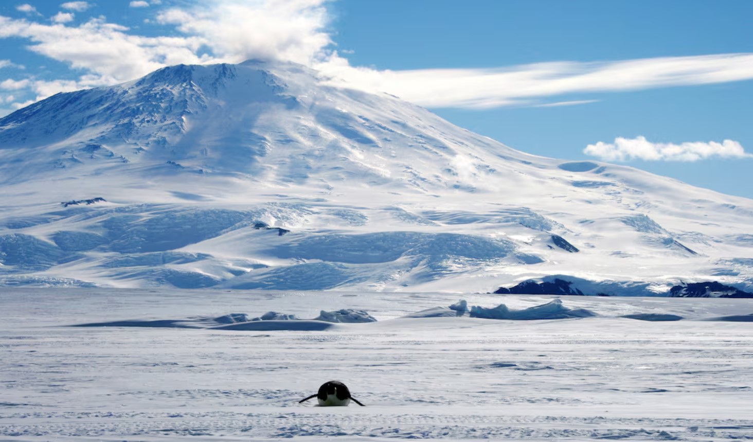 cover Here&#8217;s why the South Pole froze over before the North Pole 