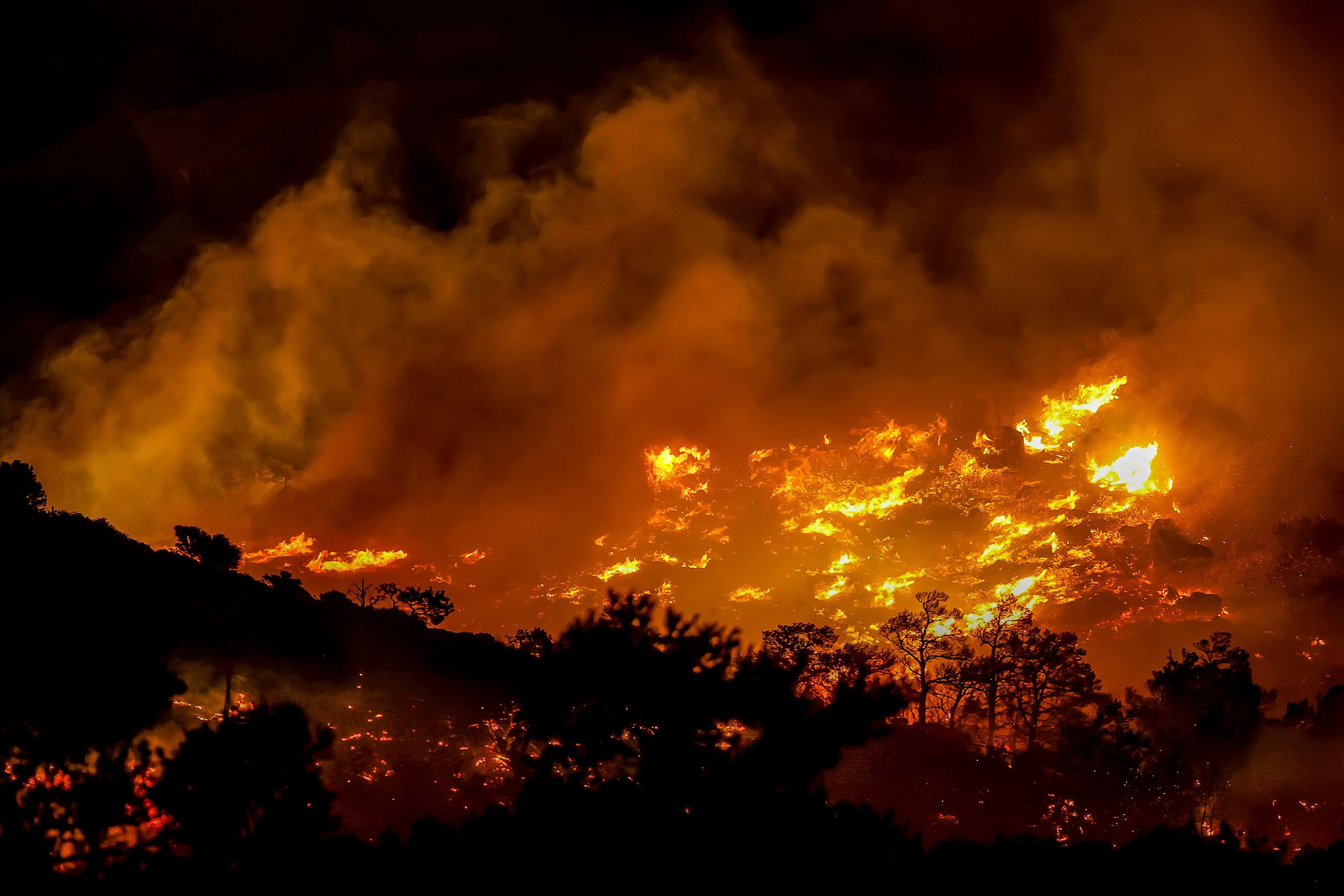 Two firefighters die as wildfire spreads across Crete amid strong winds