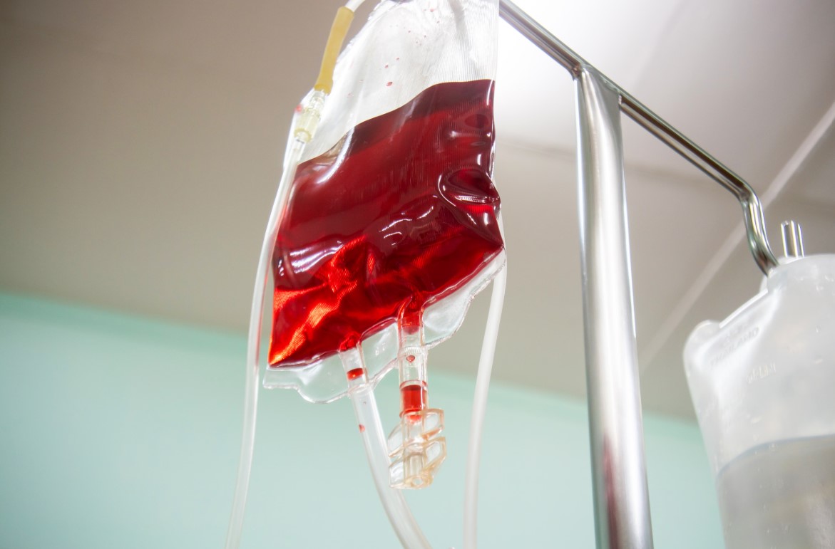 image Growing platelets on silk to keep blood supplies flowing
