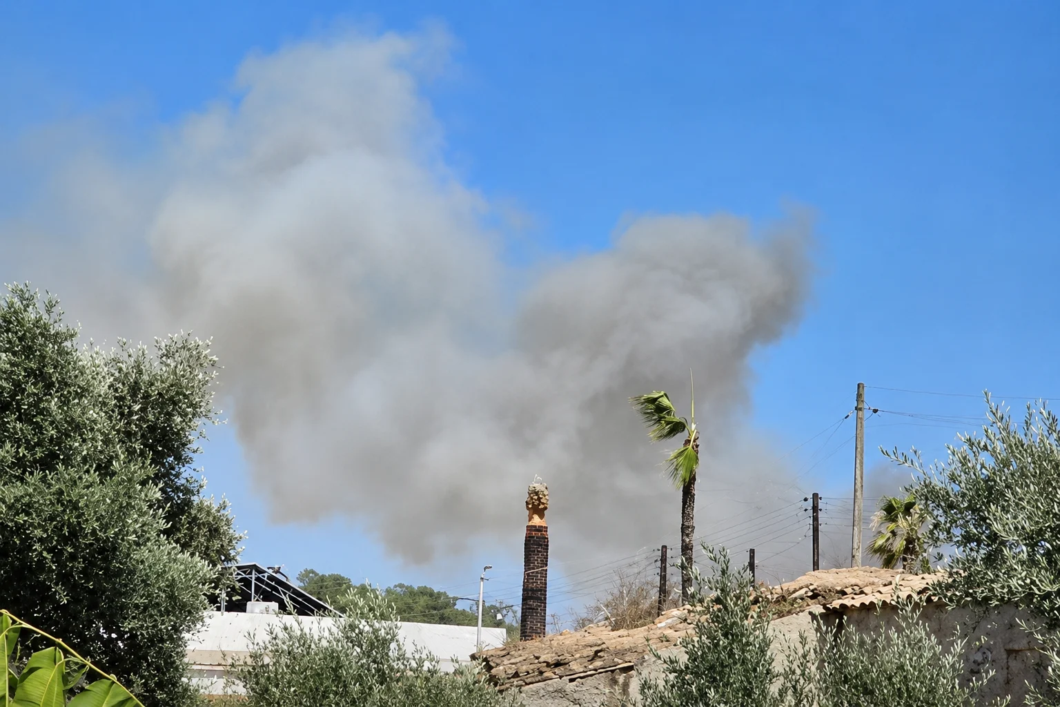image Emergency services mobilised after wildfire breaks out in Pyrga