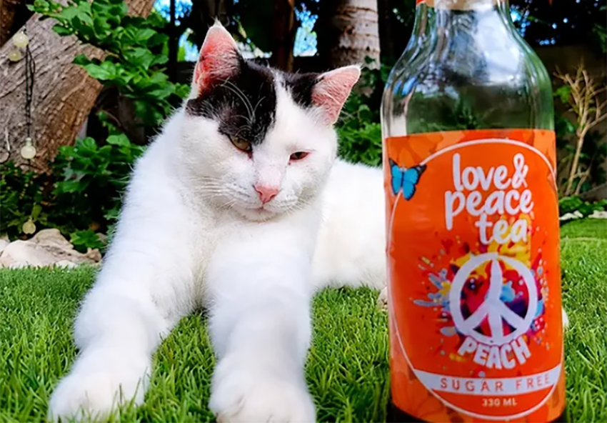 cover This new icetea is making a difference in Cyprus