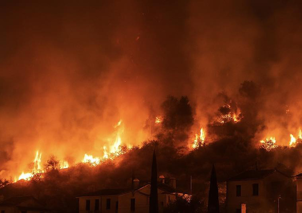 cover Five hectares of vegetation burnt in Arsos fire