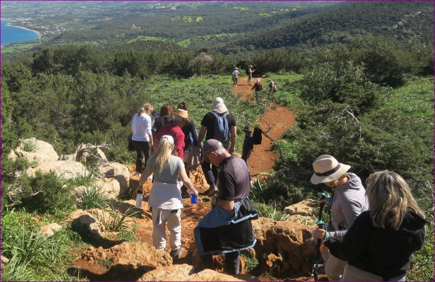 cover The rise of the slow living lifestyle in Cyprus