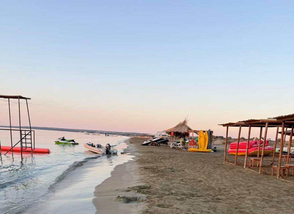 image BirdLife Cyprus and Terra Cypria raise concerns over Lady’s Mile beach