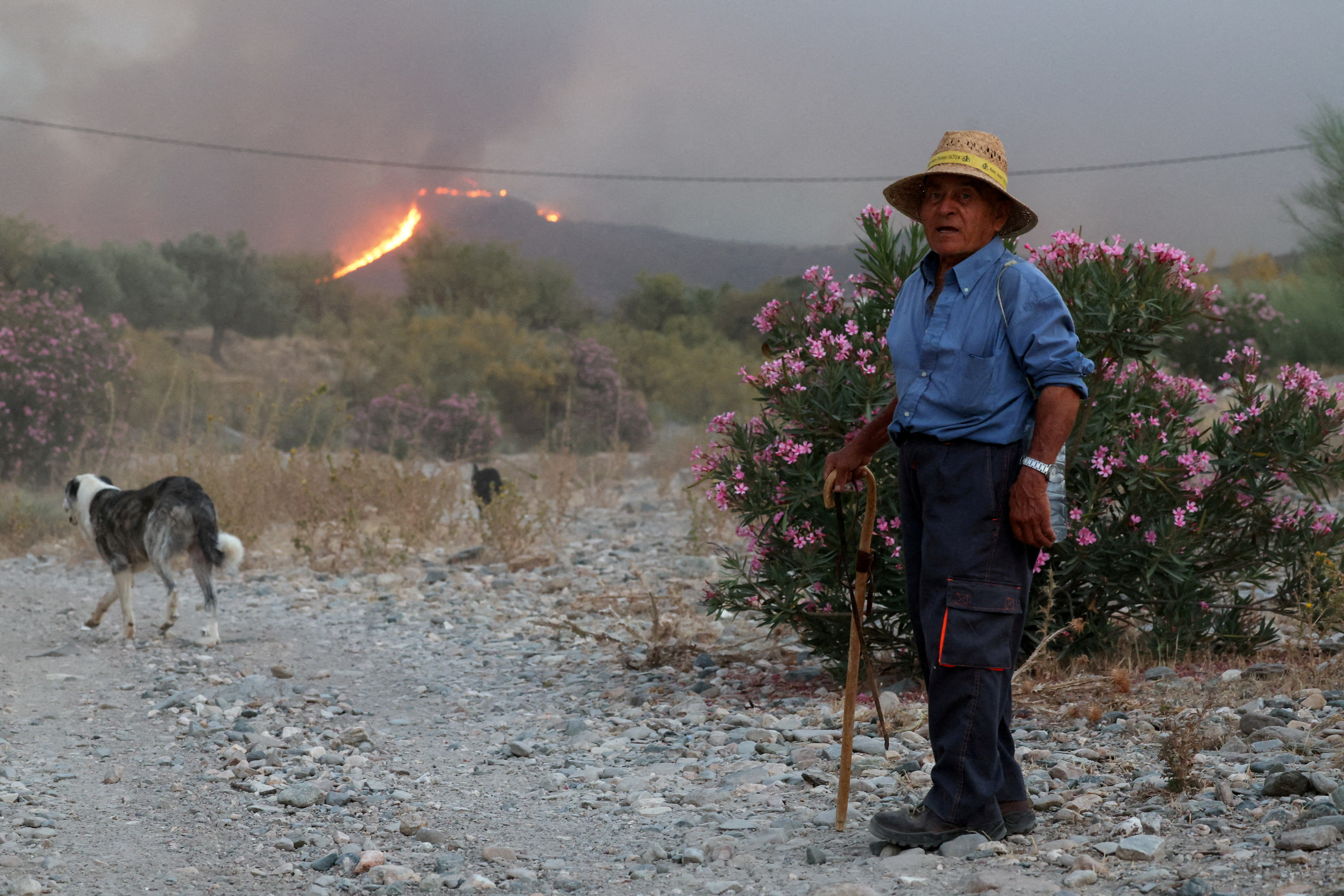 image Spanish firefighters turn to the offensive against deadly Almeria blaze
