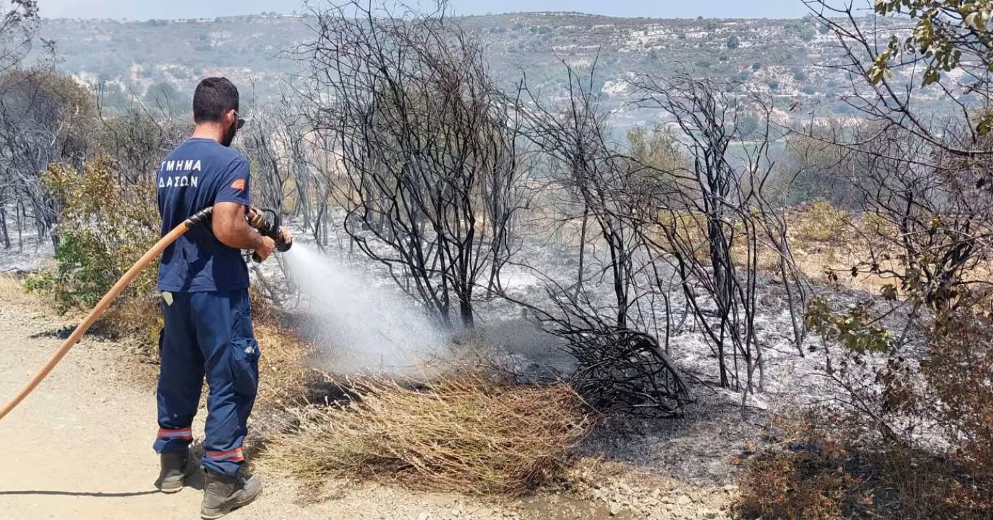 Effects of forest fires could last centuries