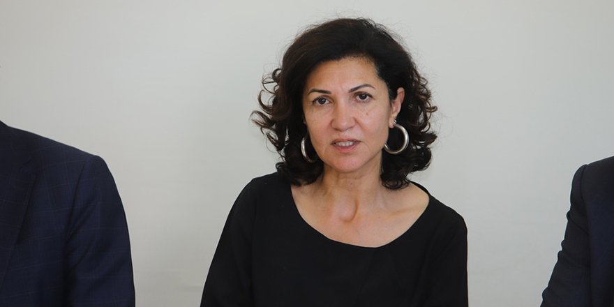 image Turkish Cypriot activist questioned over remarks on Turkish influence in north