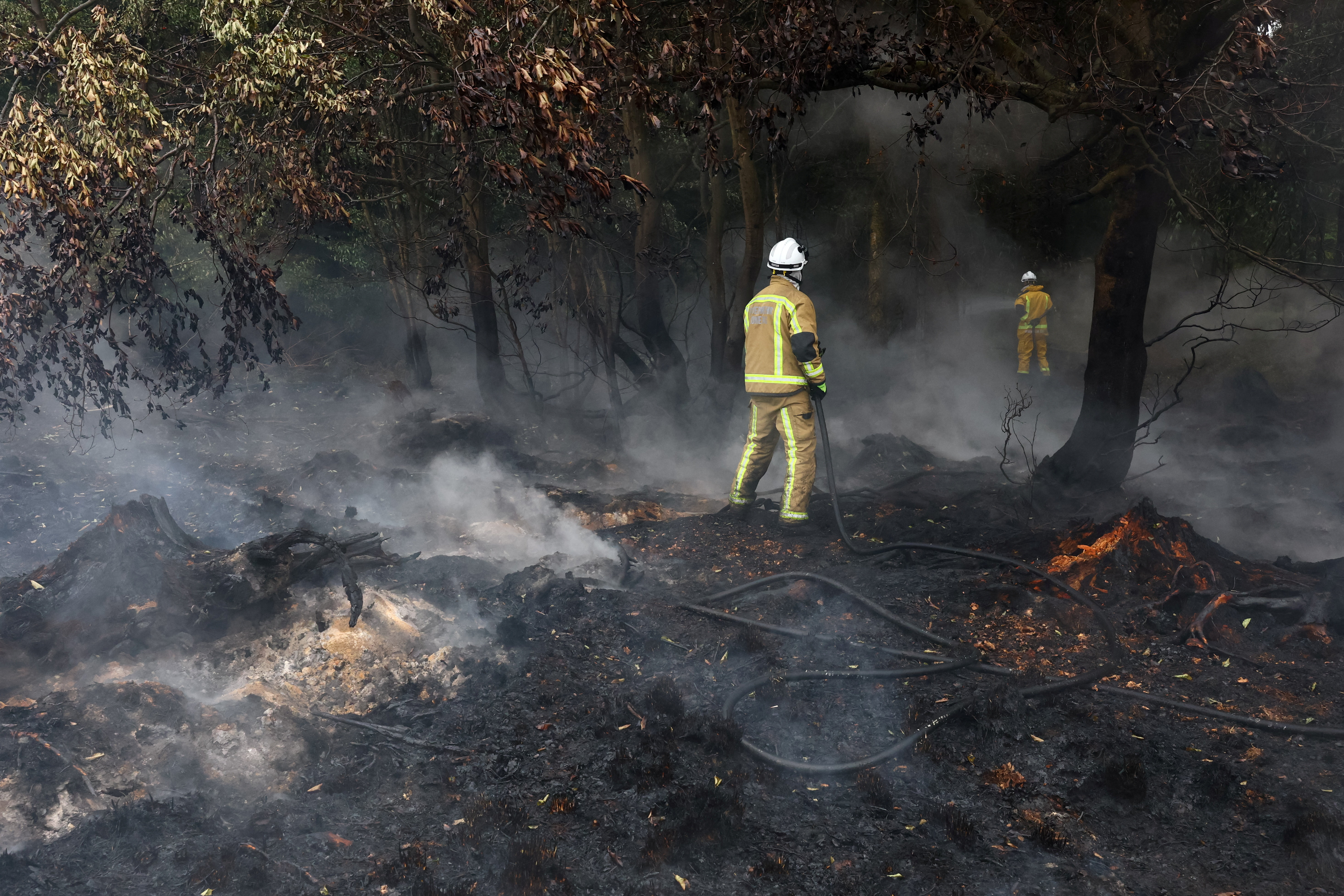 image Rain aids fight against Belgium’s biggest wildfire on record