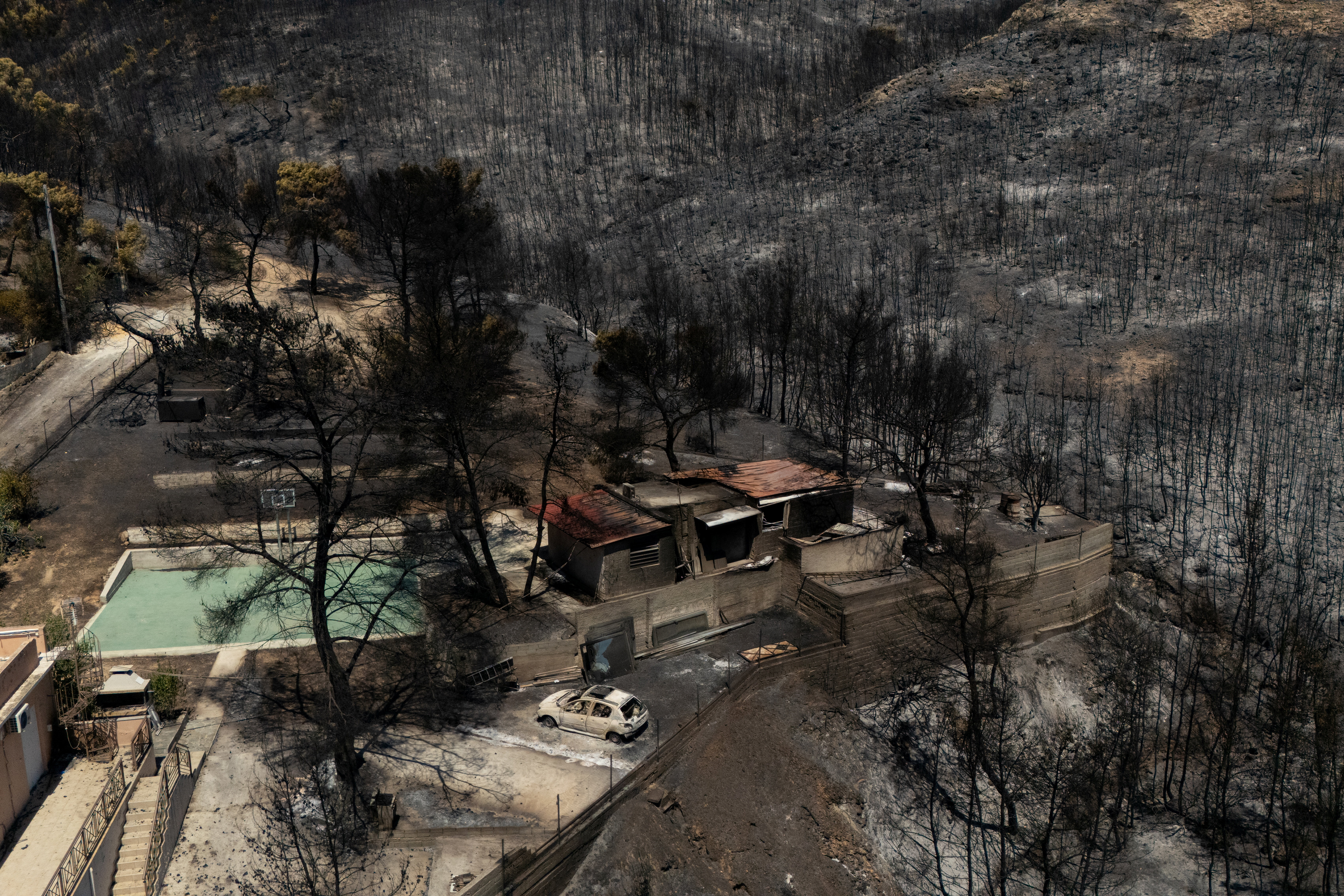 image Devastating Greek wildfires stoke fear of faulty power lines