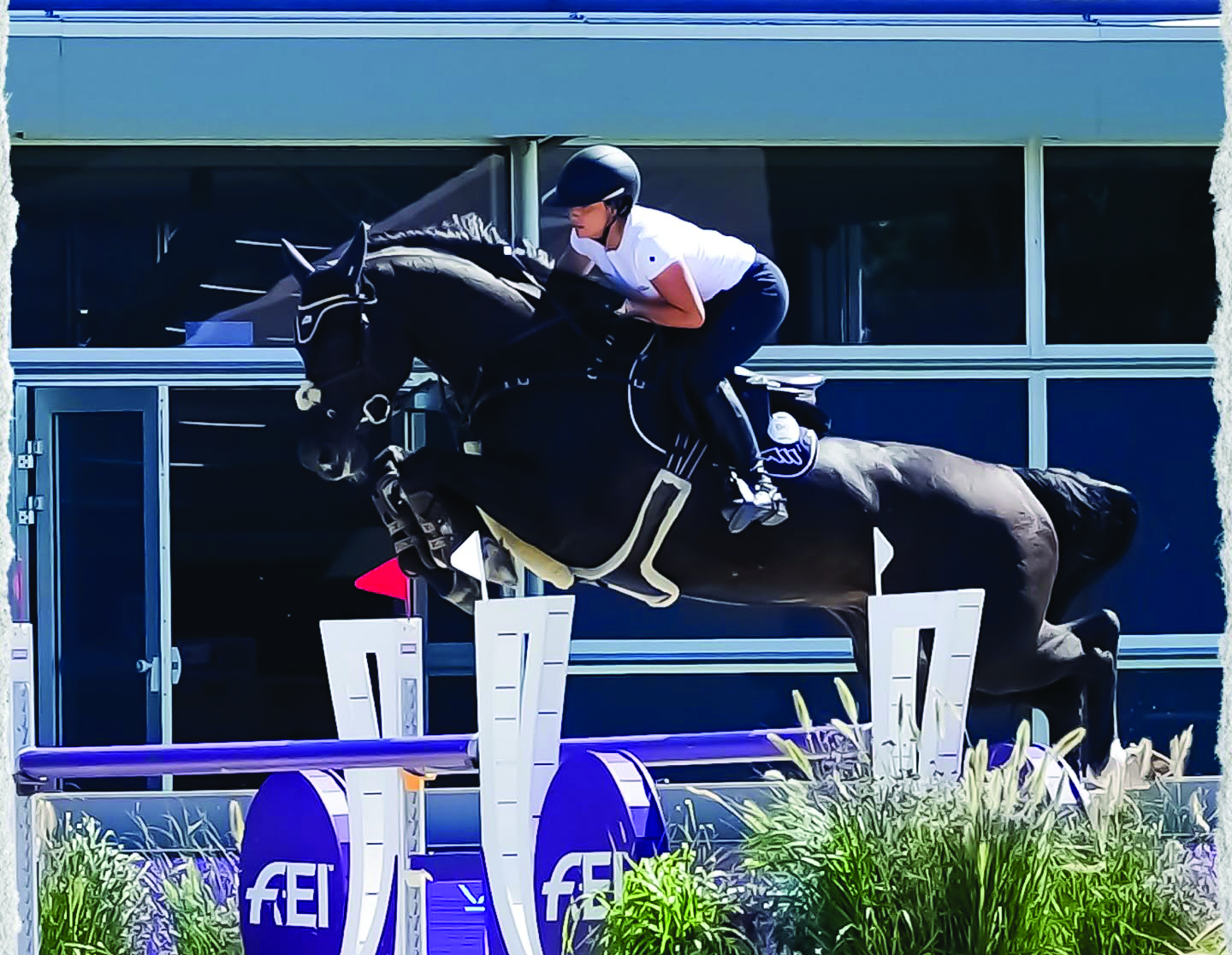 cover Cyprus to make equestrian debut at Mediterranean Games