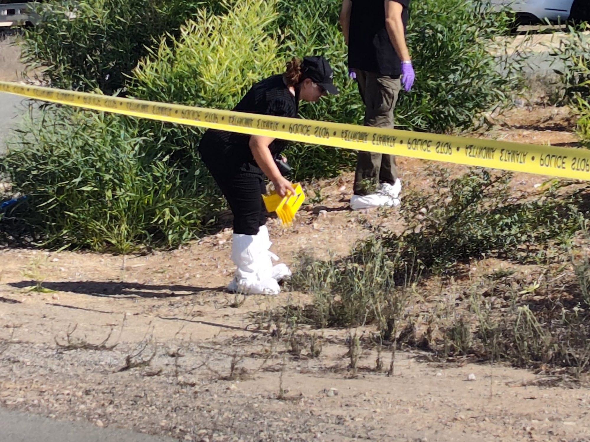 attempted murder, Ayia Napa, police