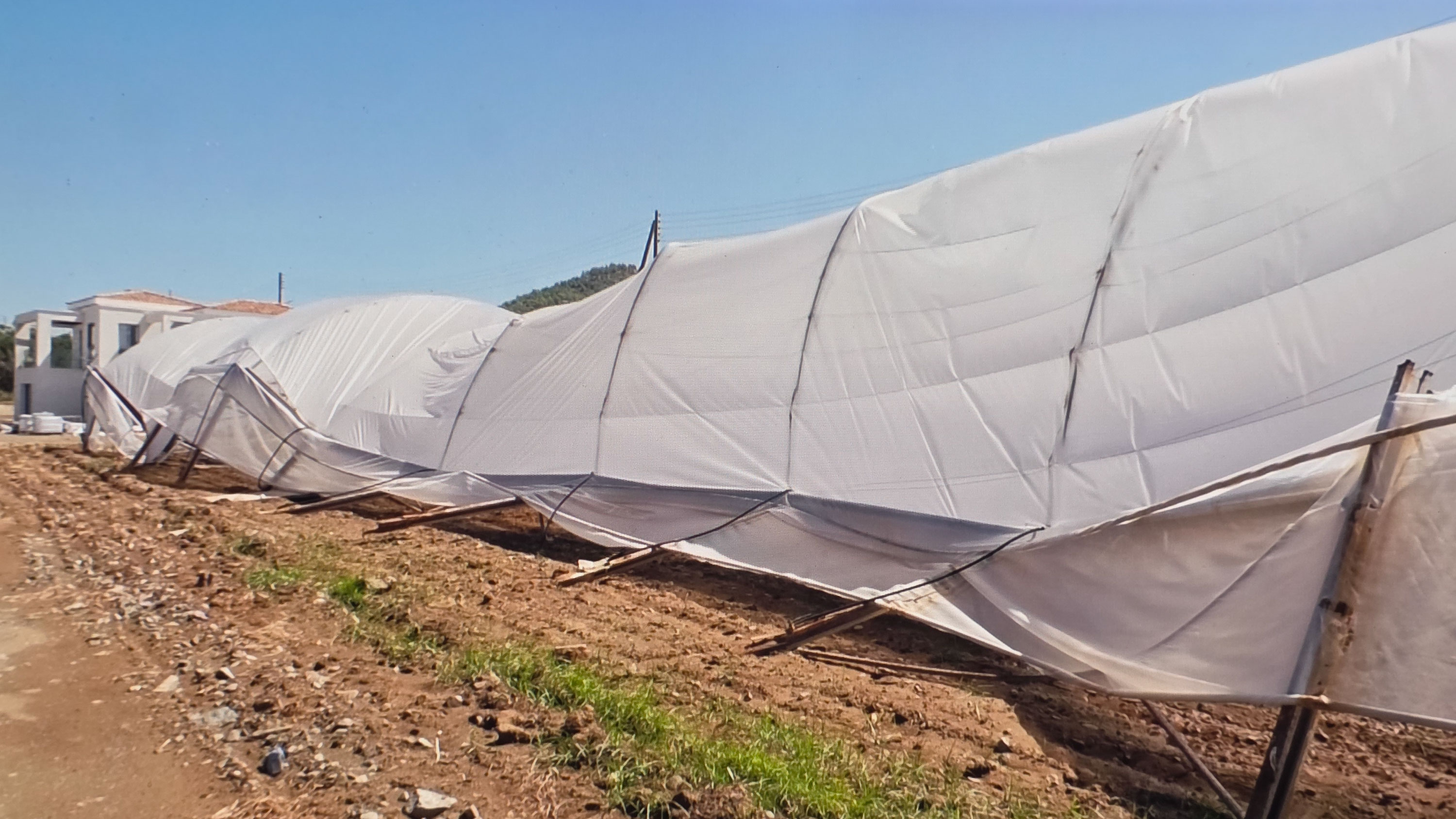 image Inspectors assess storm damage to crops