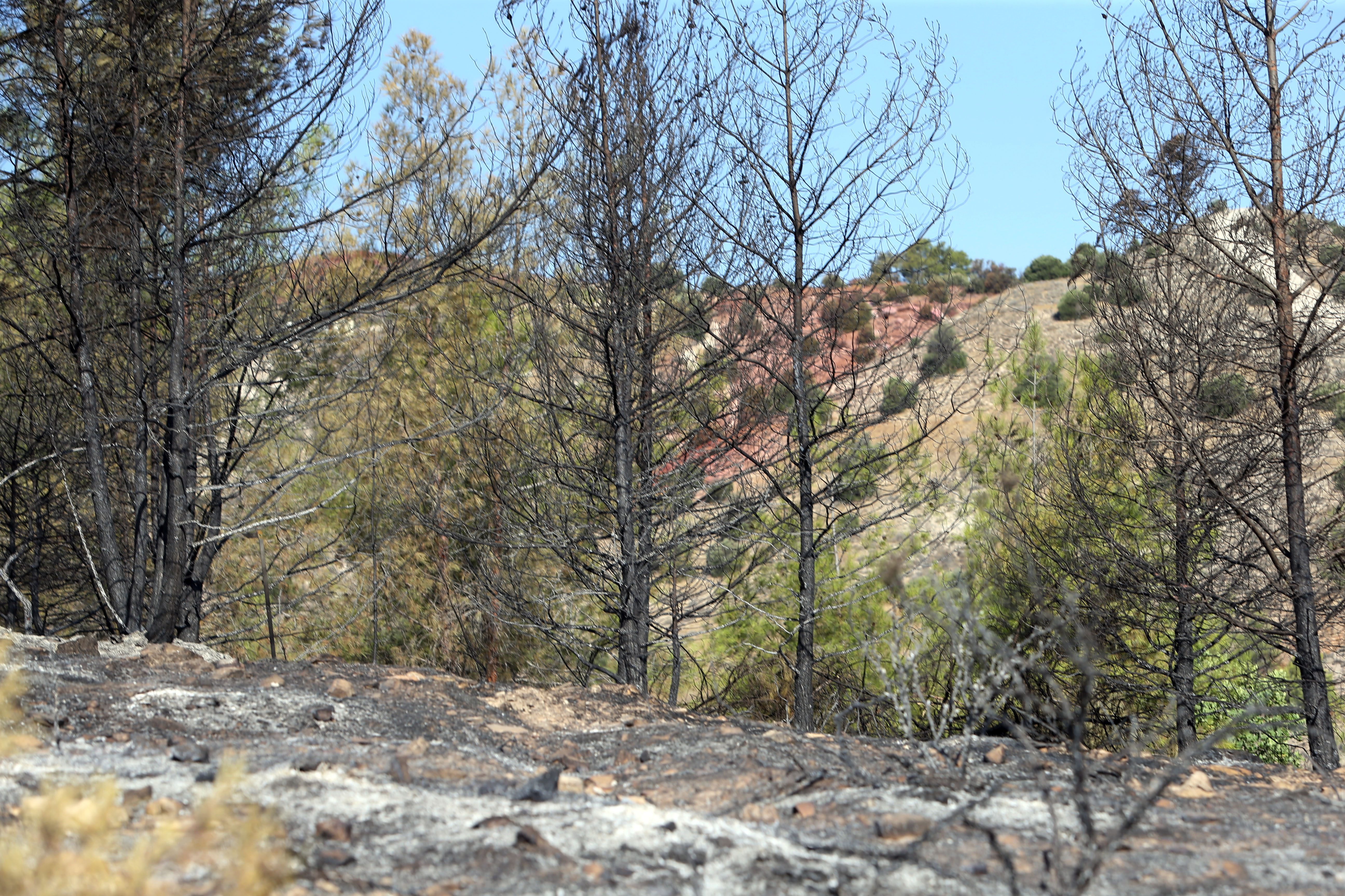 No criminal liability reportedly found in firing range fire probe