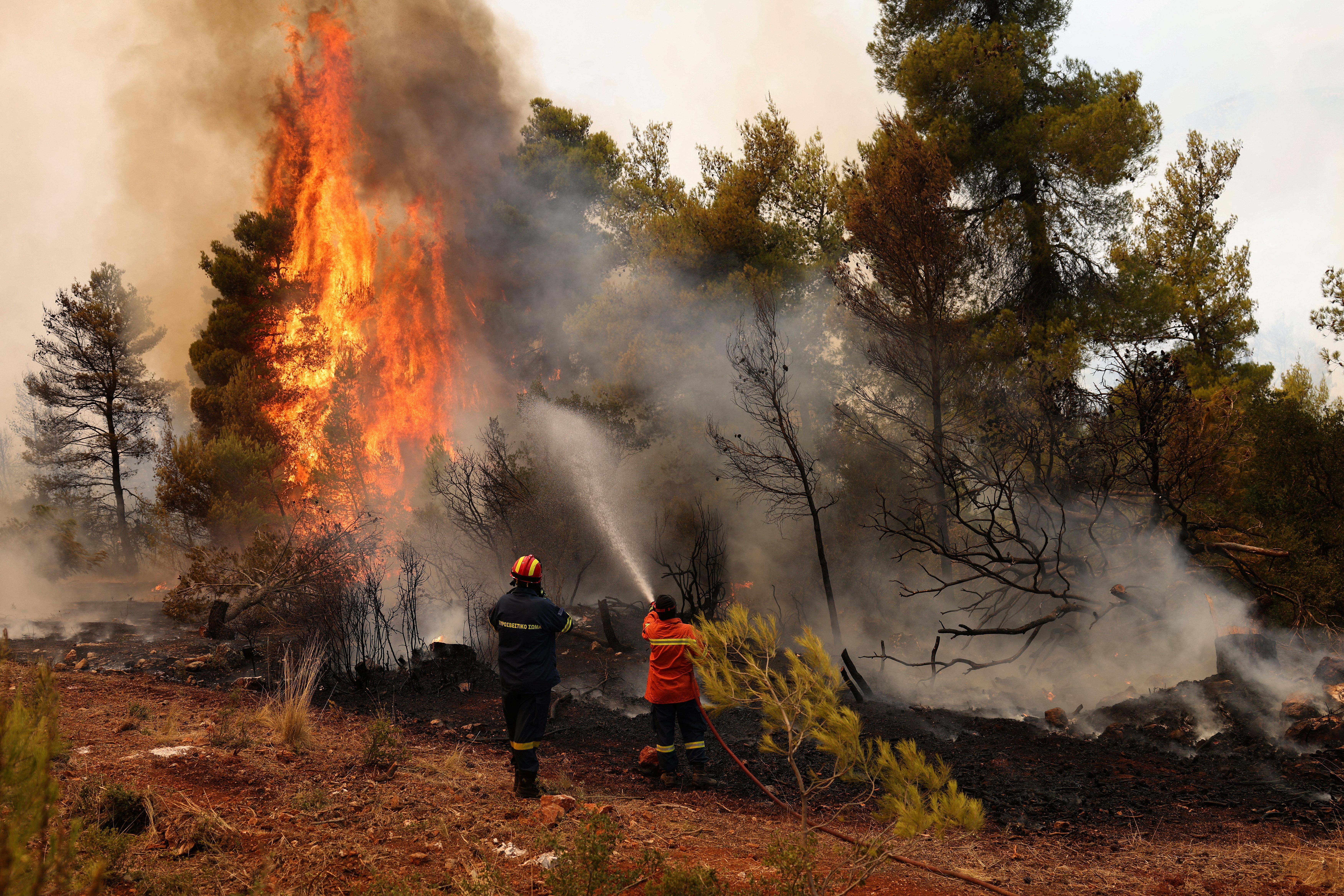 image Greece battles wildfires, Hungary shuts nuclear power plant due to drought