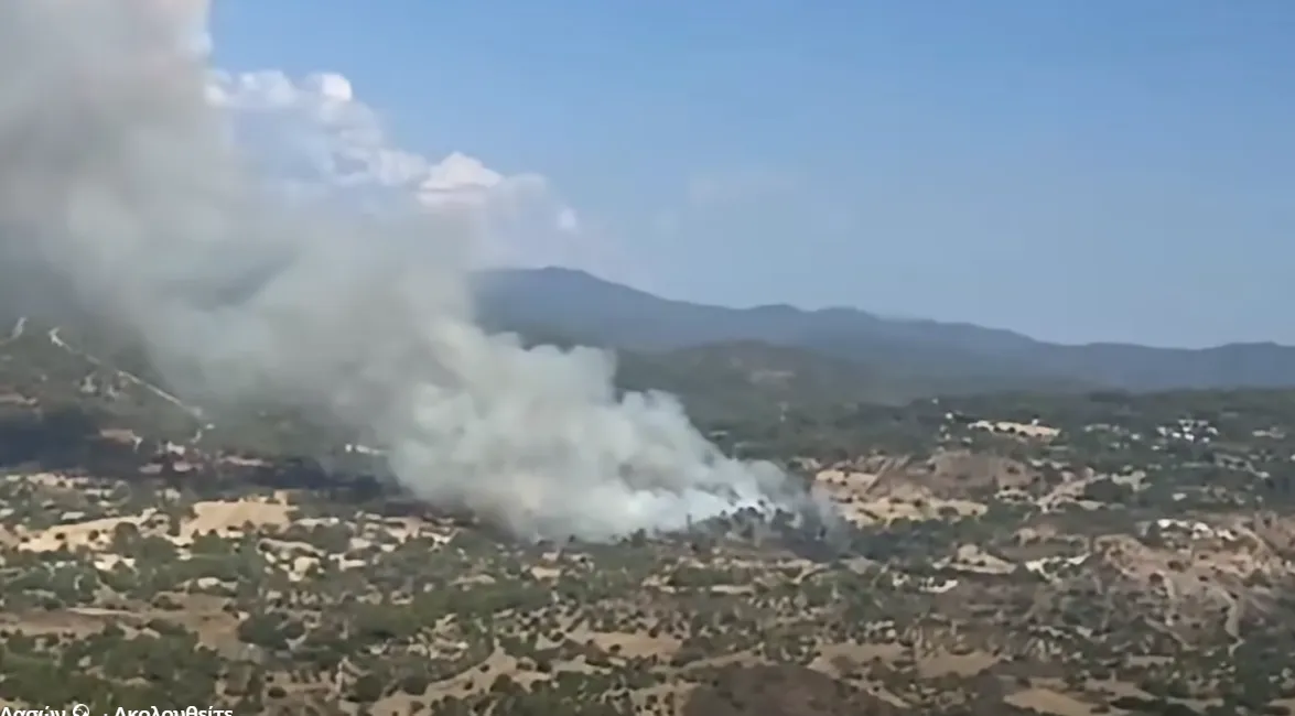 cover ‘Something is up’; forestry chief suggests arson behind recurring Paphos fires