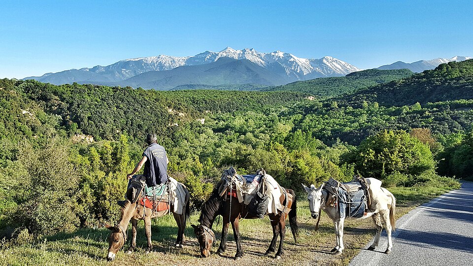 image Five Cypriot climbers to ascend Mount Olympus for children with cancer