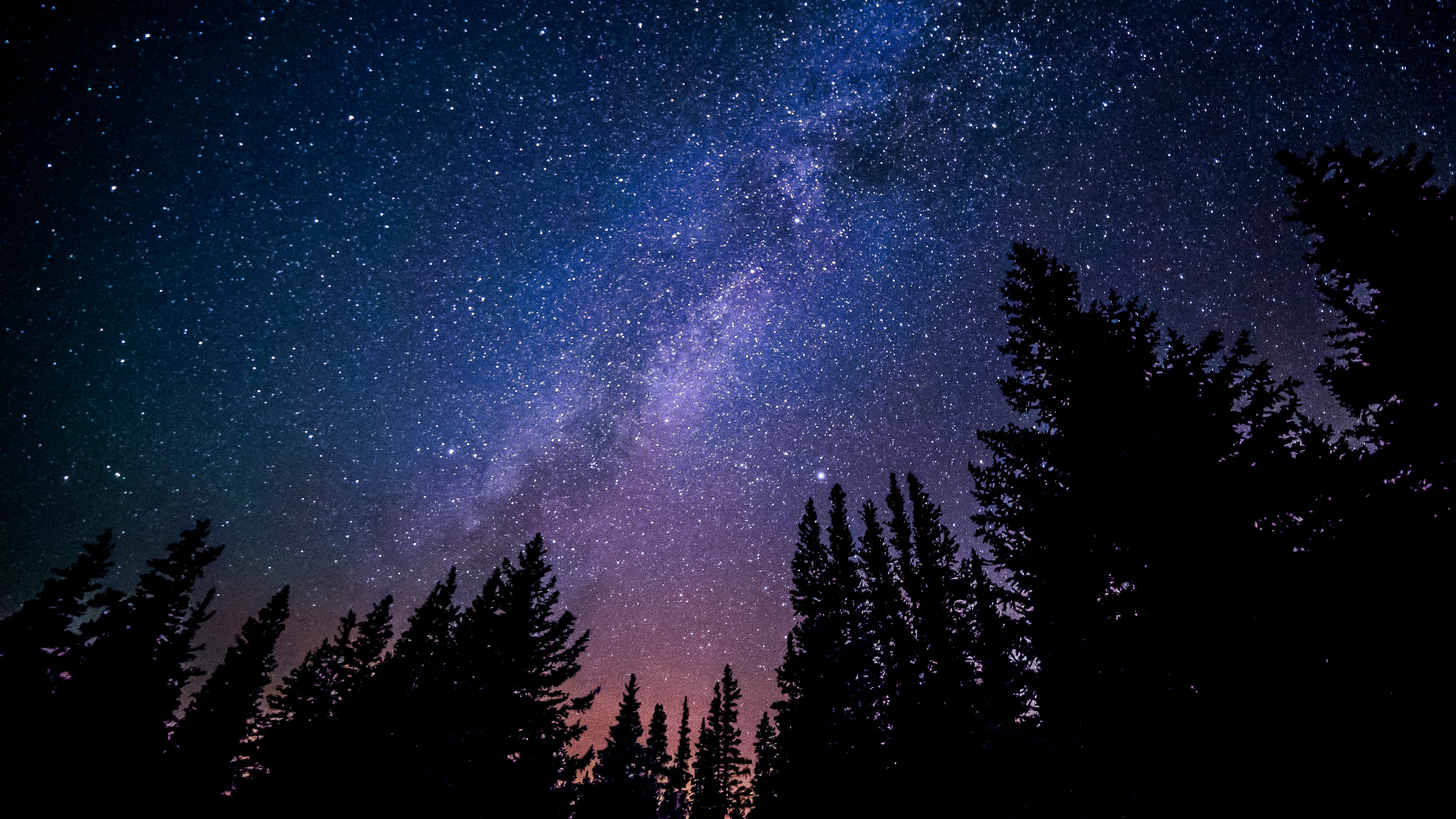 cover Catch the Perseids Meteor Shower at these events