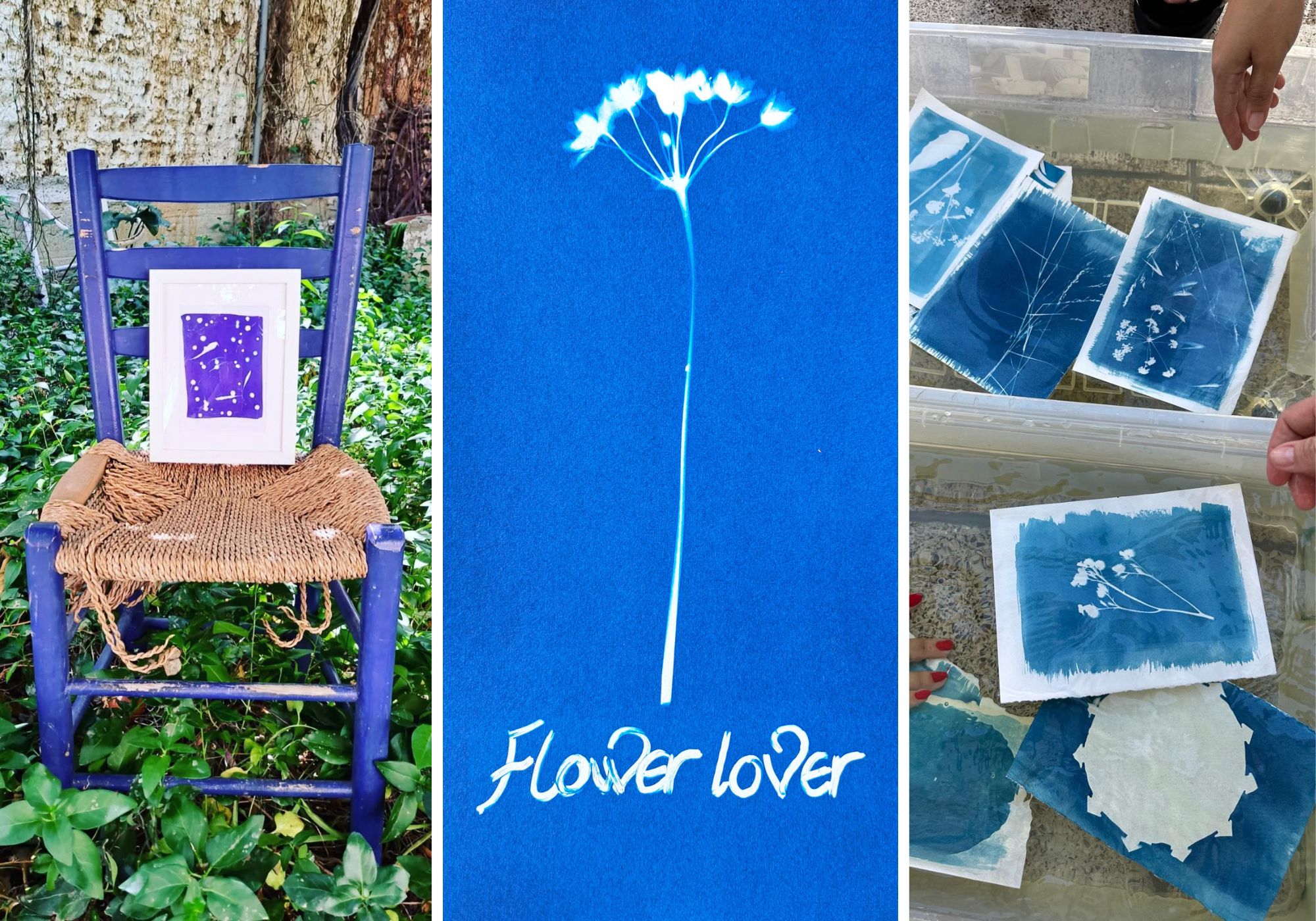 cover Free workshop series explores local nature through cyanotypes